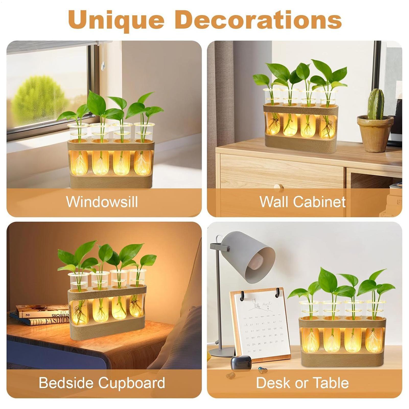 LED Bitki Çoğaltma İstasyonu H - Home Office With Plants incelemesi ve fiyatı