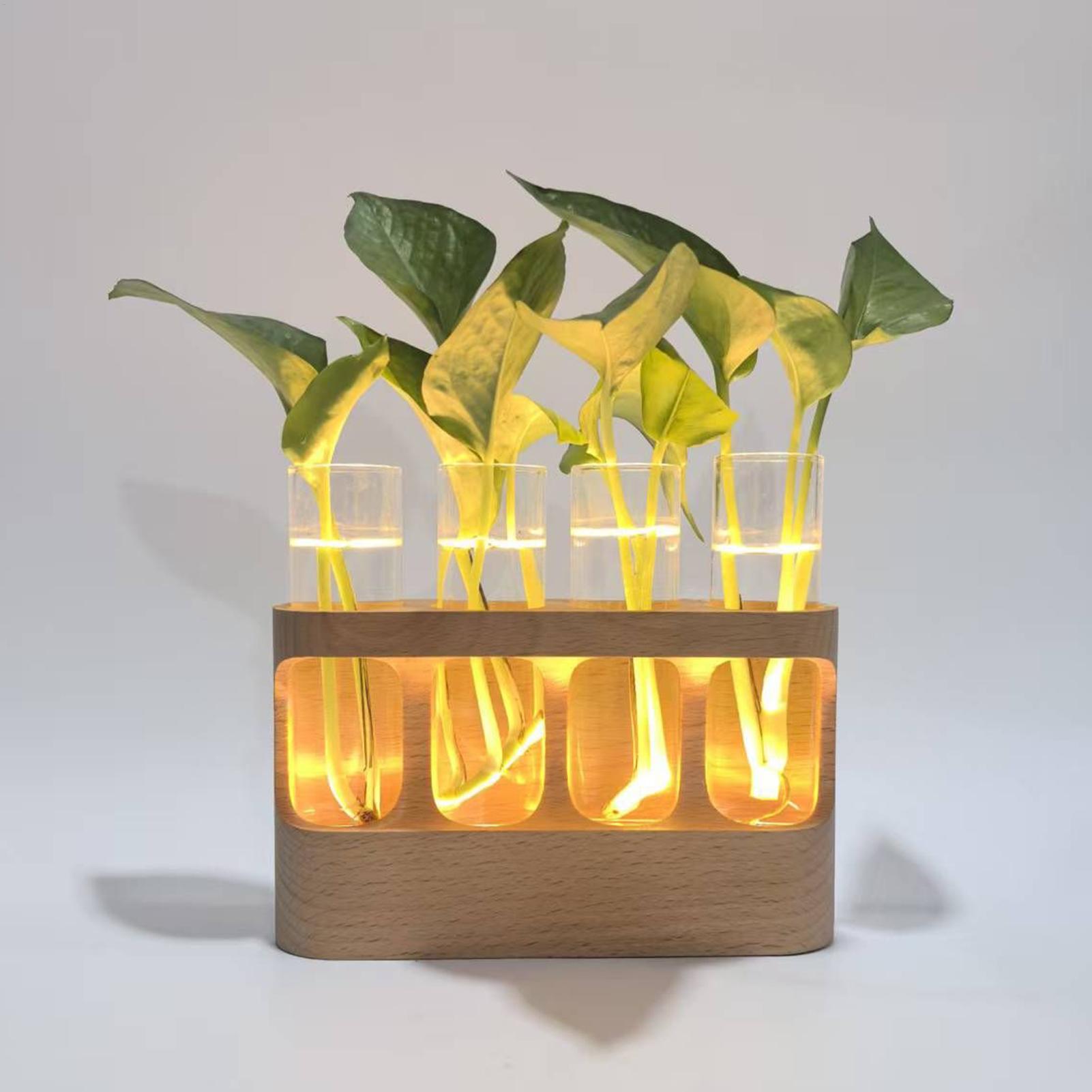 LED Bitki Çoğaltma İstasyonu H - Home Office With Plants incelemesi ve fiyatı