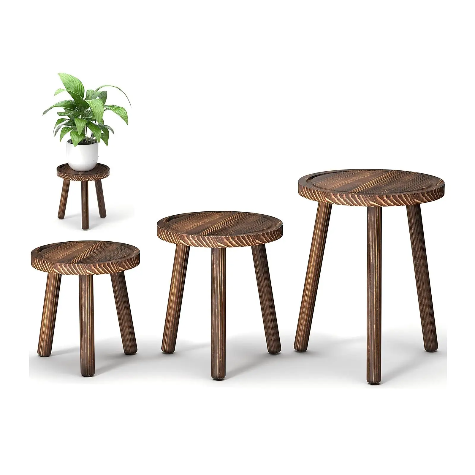 3 Parçalı Ahşap Bitki Standı S - Home Office With Plants incelemesi ve fiyatı
