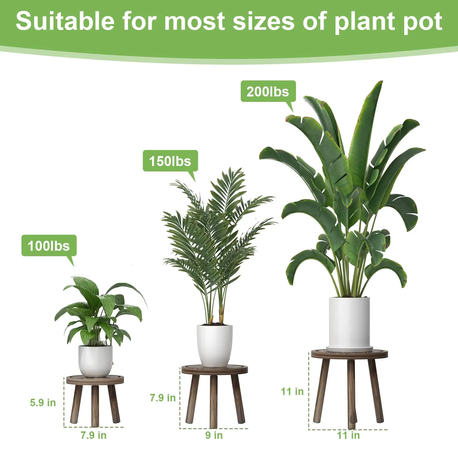 3 Parçalı Ahşap Bitki Standı S - Home Office With Plants incelemesi ve fiyatı