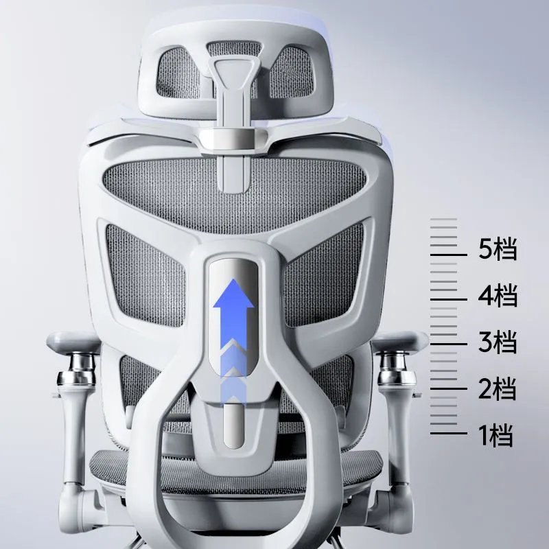 Ergonomik Bilgisayar Koltuğu B - Home Office Work incelemesi ve fiyatı