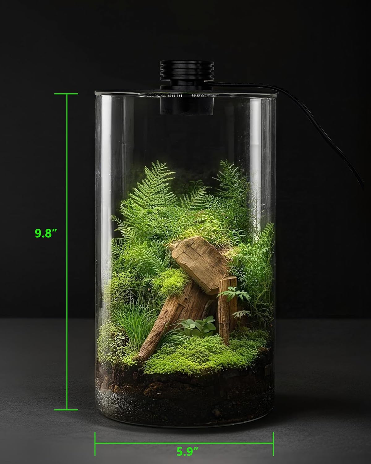 İç Mekan Cam Teraryumu, Büyütm - Home Office With Plants incelemesi ve fiyatı