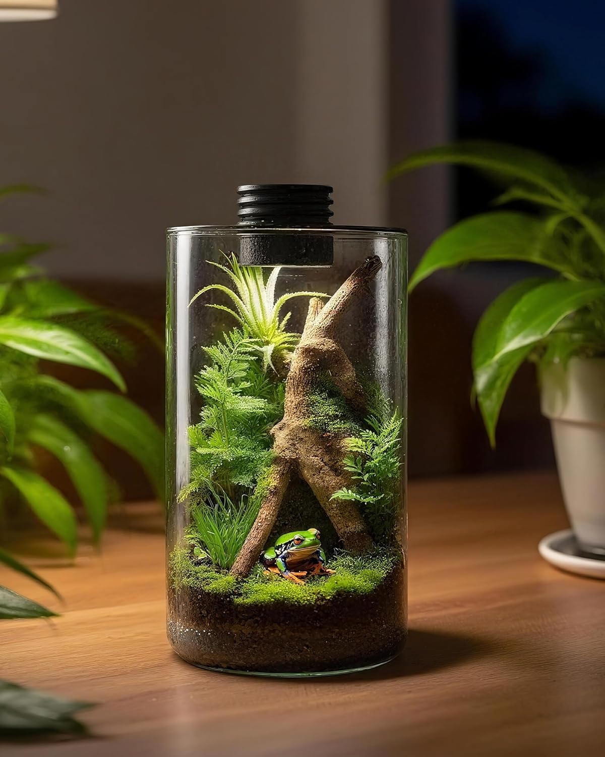 İç Mekan Cam Teraryumu, Büyütm - Home Office With Plants incelemesi ve fiyatı